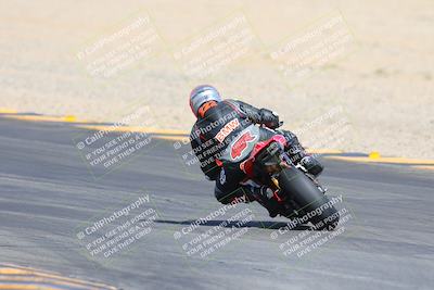 media/Mar-10-2024-SoCal Trackdays (Sun) [[6228d7c590]]/9-Turn 8 Backside (1150am)/